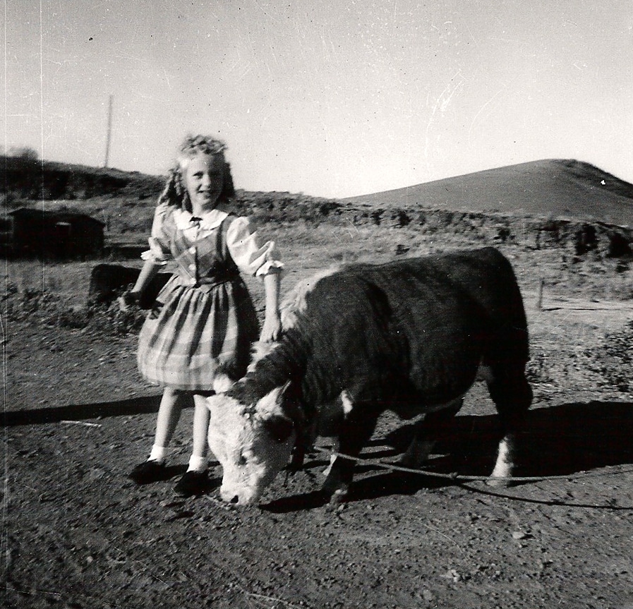 Young girl with a calf